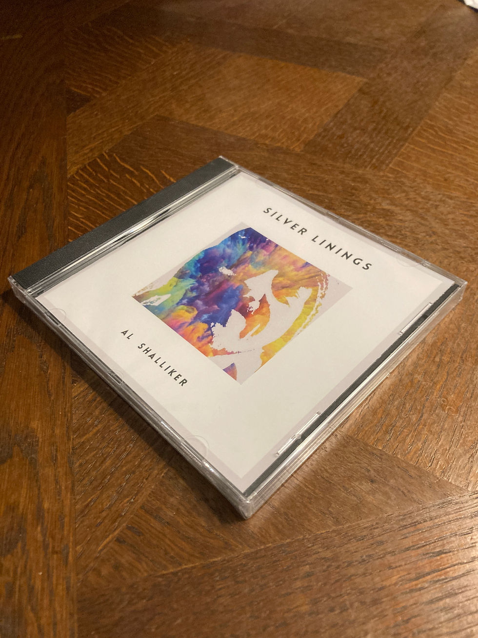 Silver Linings compact disc (CD)