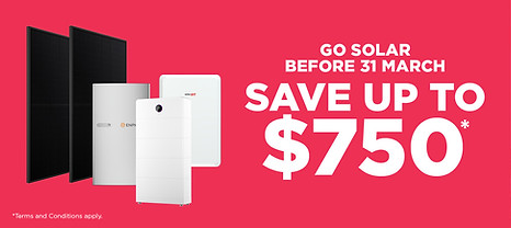 December Campaign_Dealer Banner_1920x550px.jpg