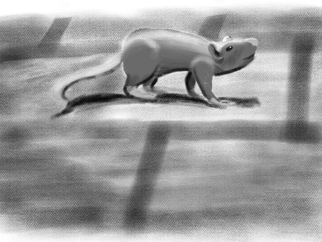 Chapter 2 - A Modern Curse