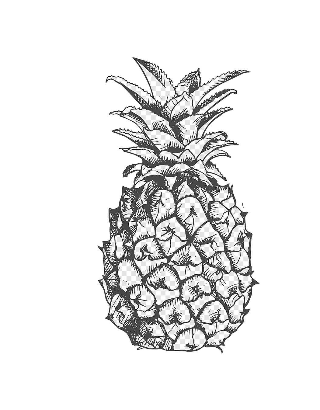 Dibujada.png.webp