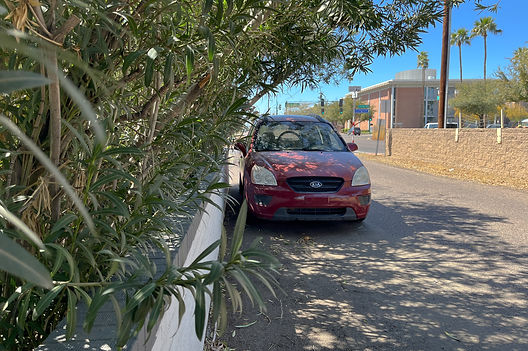Foliage providing shade for a car parked on a frontage road of Thomas Road near 11th Avenue on March 19.