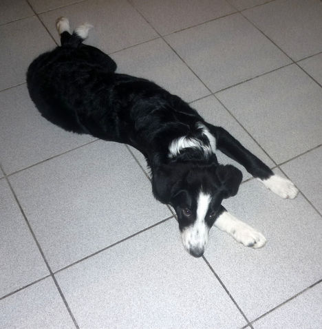 Nouvelles de Vénus renommée Vanille