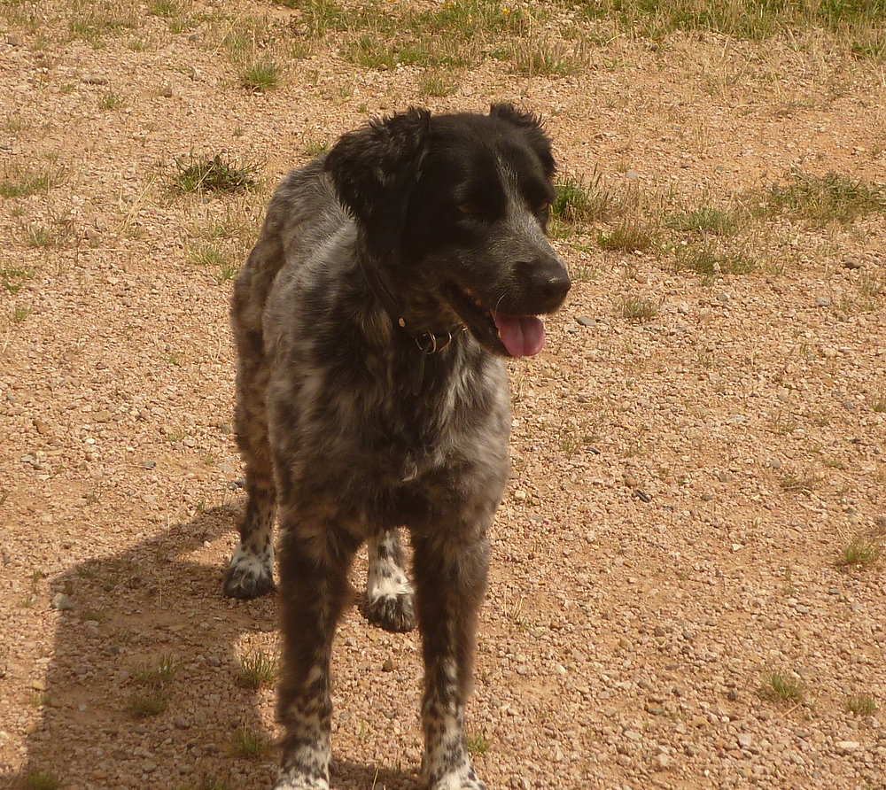 lara get a playstation for her birthday