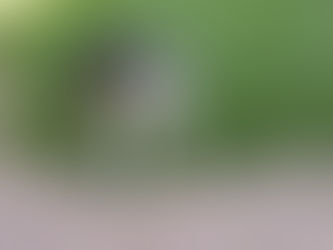 Nouvelles de Praline