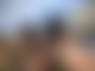 Nouvelles de Romulus