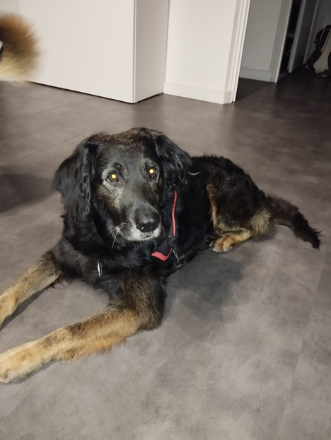 Nouvelles de Tayco renommé Layco