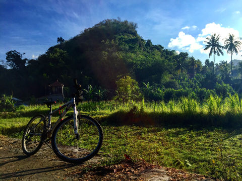 Одно моё утро