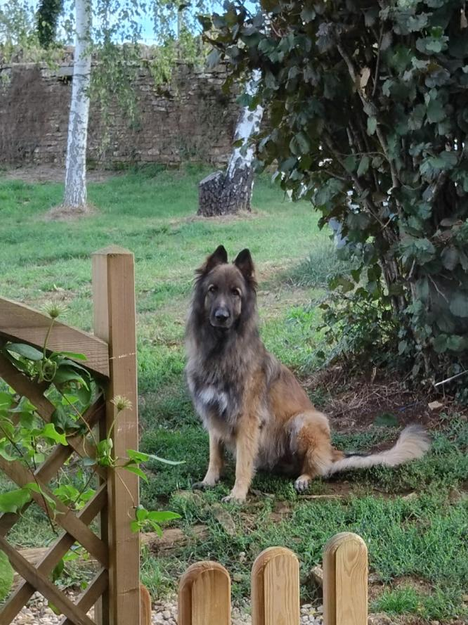 Nouvelles de Mars renommé Max