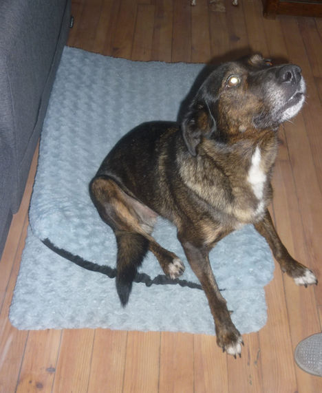 Nouvelles de Nana renommée Naya