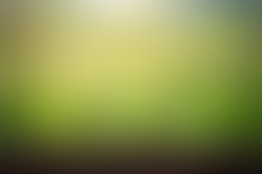 Compound Interest Through Plant Growth