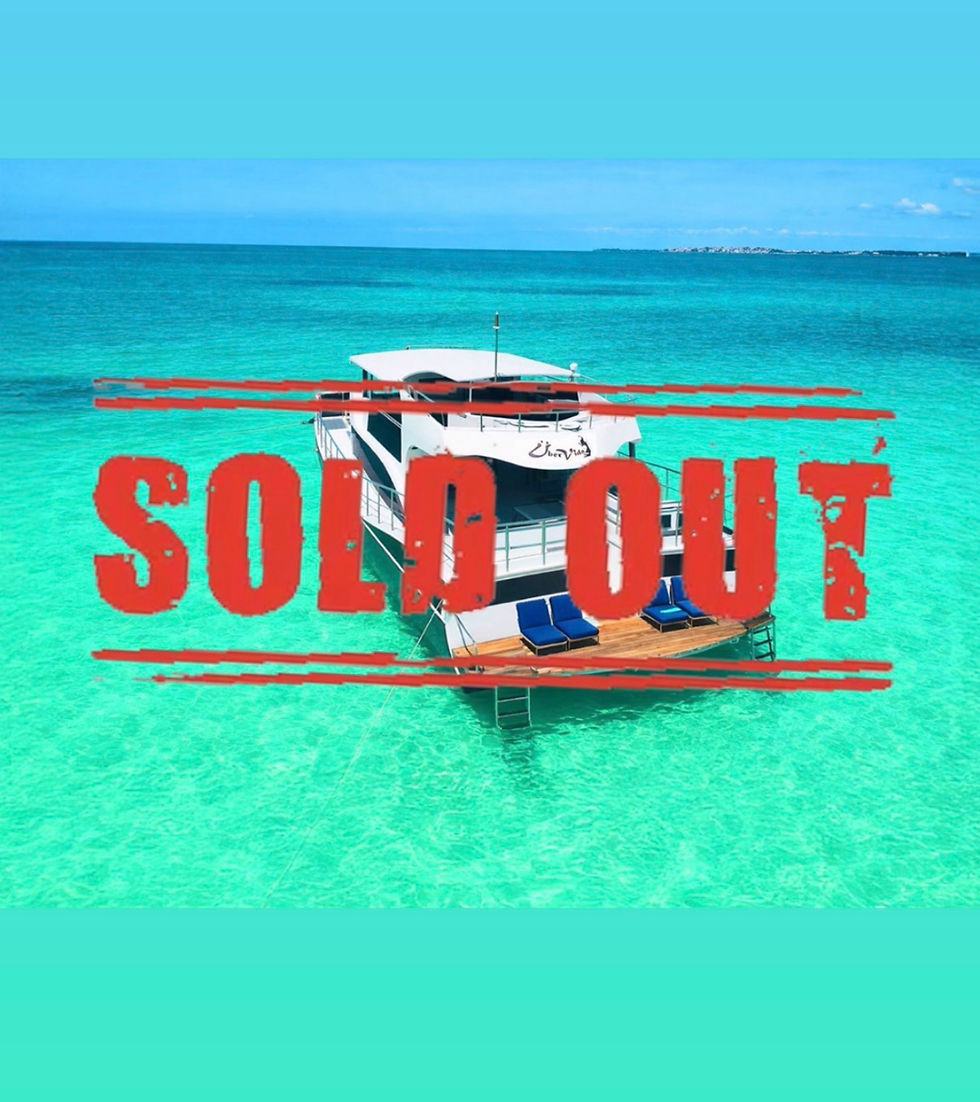 12PM-4PM SUNDAY, JUNE 7TH 2026 | BOTTOMLESS Daytime Swimming Cruise