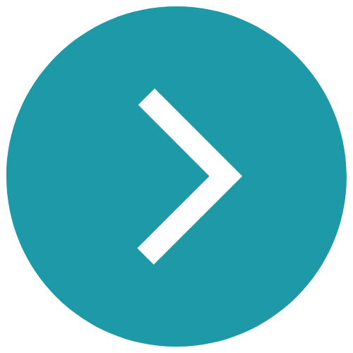 DRL ICONS (1).png