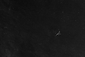Texturelabs_Grunge_214L.png