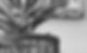 Remedial-Massage-Therapist-Perth
