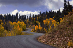 Neboo Loop - Utah