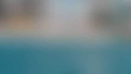 IX ENCOPEMAQ: CEARÁ RECEBE PRINCIPAL ENCONTRO NACIONAL SOBRE CONSERVAÇÃO DE MAMÍFEROS AQUÁTICOS