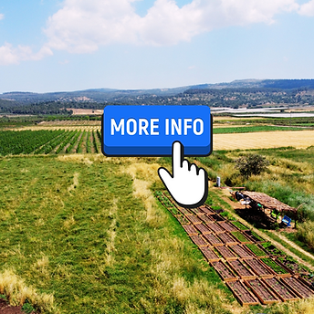 עיצוב ללא שם (5).png