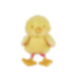 Chick stuffed animal