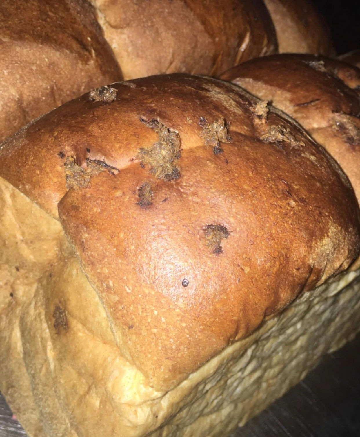 Sardine Bread