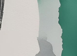 BMWC FULL SUITE (1)_edited.jpg