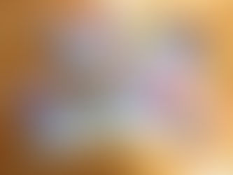 ご支援のお礼とご報告(2020年1月)