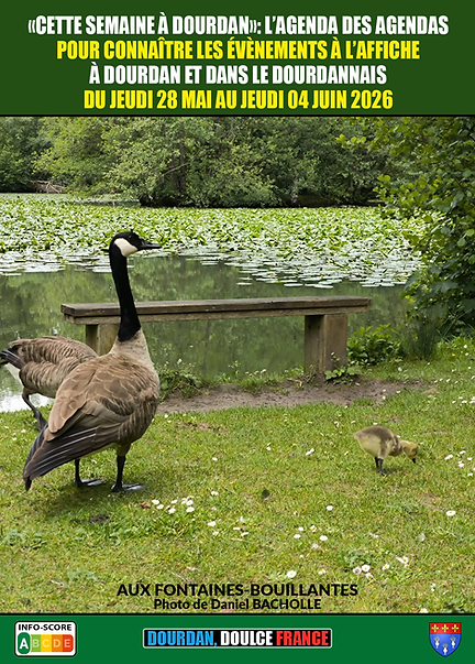 20260528CSAD.png
