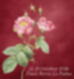 The Wild Rose: Women's Retreat in La Palma