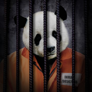 Free The Wild - Panda