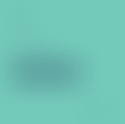 Repurchase Agreement