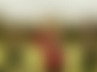 Nia: Dancing for Body, Mind and Soul — Where Movement Becomes Medicine