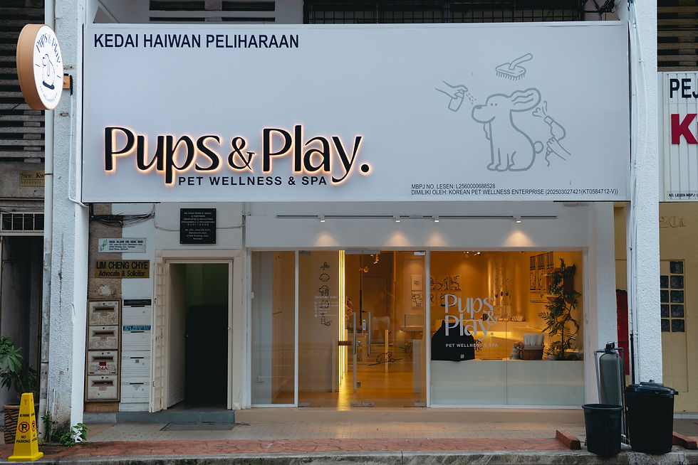Pups&Play. PET WELLNESS & SPA
