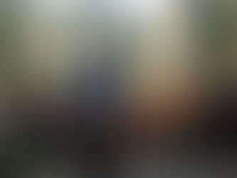 Diretora da Escola de Comunicação da UFRJ prestigia Feixta dos Tribos