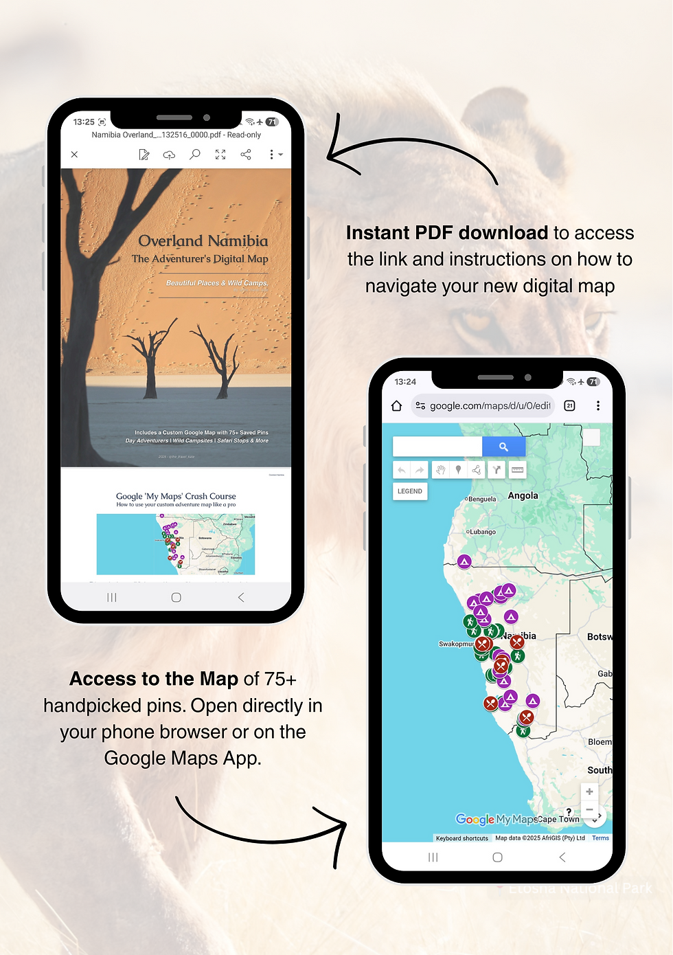 Thumbnail: Overland Namibia: The Adventurer's Digital Map