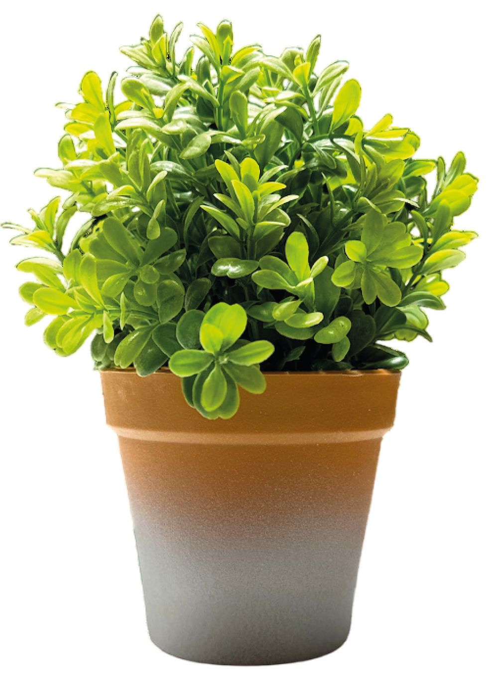 Planta Artificial