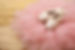 Fotolia_64368550_L.jpg