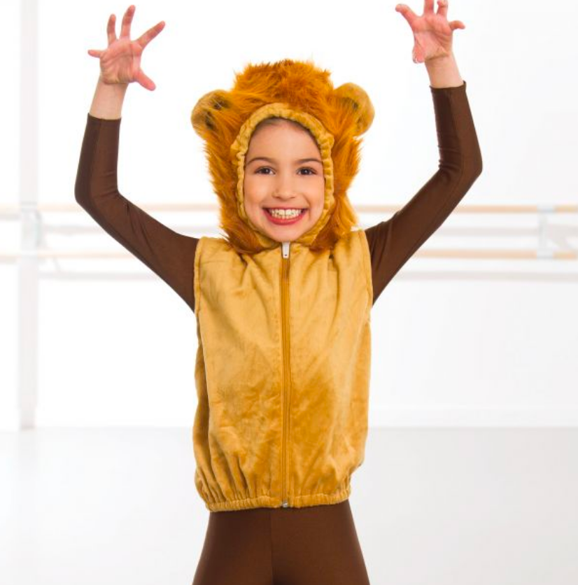 Tabard de lion