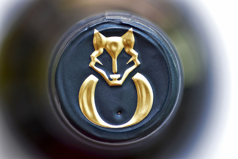 identity design by Joana Avô