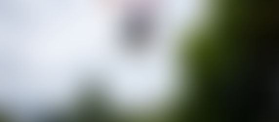 A 19 ans, Greg Ruhoff rêve des JO de Tokyo pour changer les mentalités