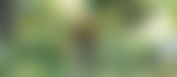 Elite et populaires ont relevé le même défi, gravir la Barillette