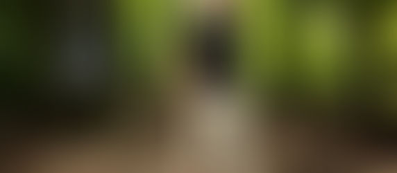 Il peint sur les murs et les arbres