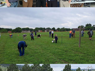 Treasure Hunt, Endless Surprises—QUEST Metal Detectors Power the Coin Hunt Competition