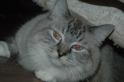 04.JPG