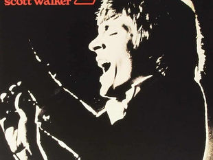 #54 Scott Walker- Scott 2