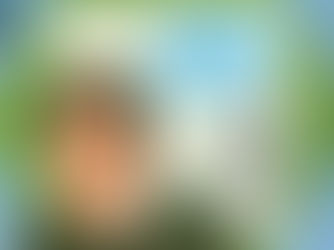 #55 Andy Williams- Love, Andy