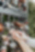 MrMrsEdenfield-669_websize.jpg
