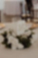 R6__9295.jpg