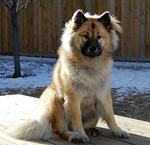 Ursa January 08 003.jpg