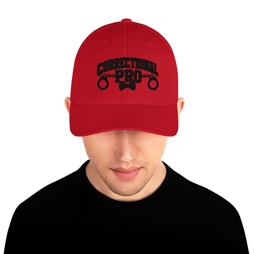 Thumbnail: Correctional Pro logo Stealth Embroidered USA Twill Cap