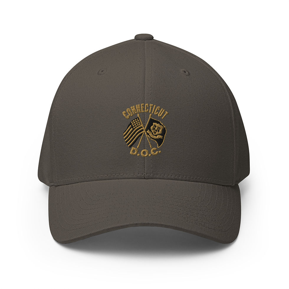 Thumbnail: Old Guard CT DOC INSIGNIA Cap