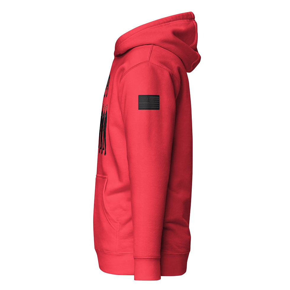 Thumbnail: YO C/O Stealth Squad dtf Unisex Premium Hoodie